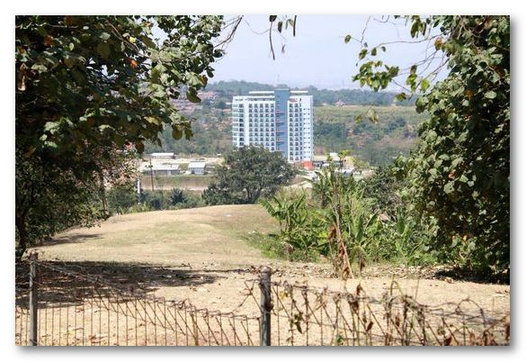 moeliono3.jpg moeliono3.jpg