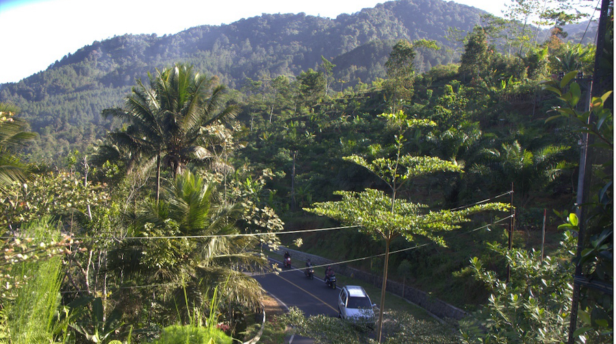 This mountain at Sumberbening is scheduled to disappear under the gold mining plans of Far East Gold (Photo: Gerry van Klinken)